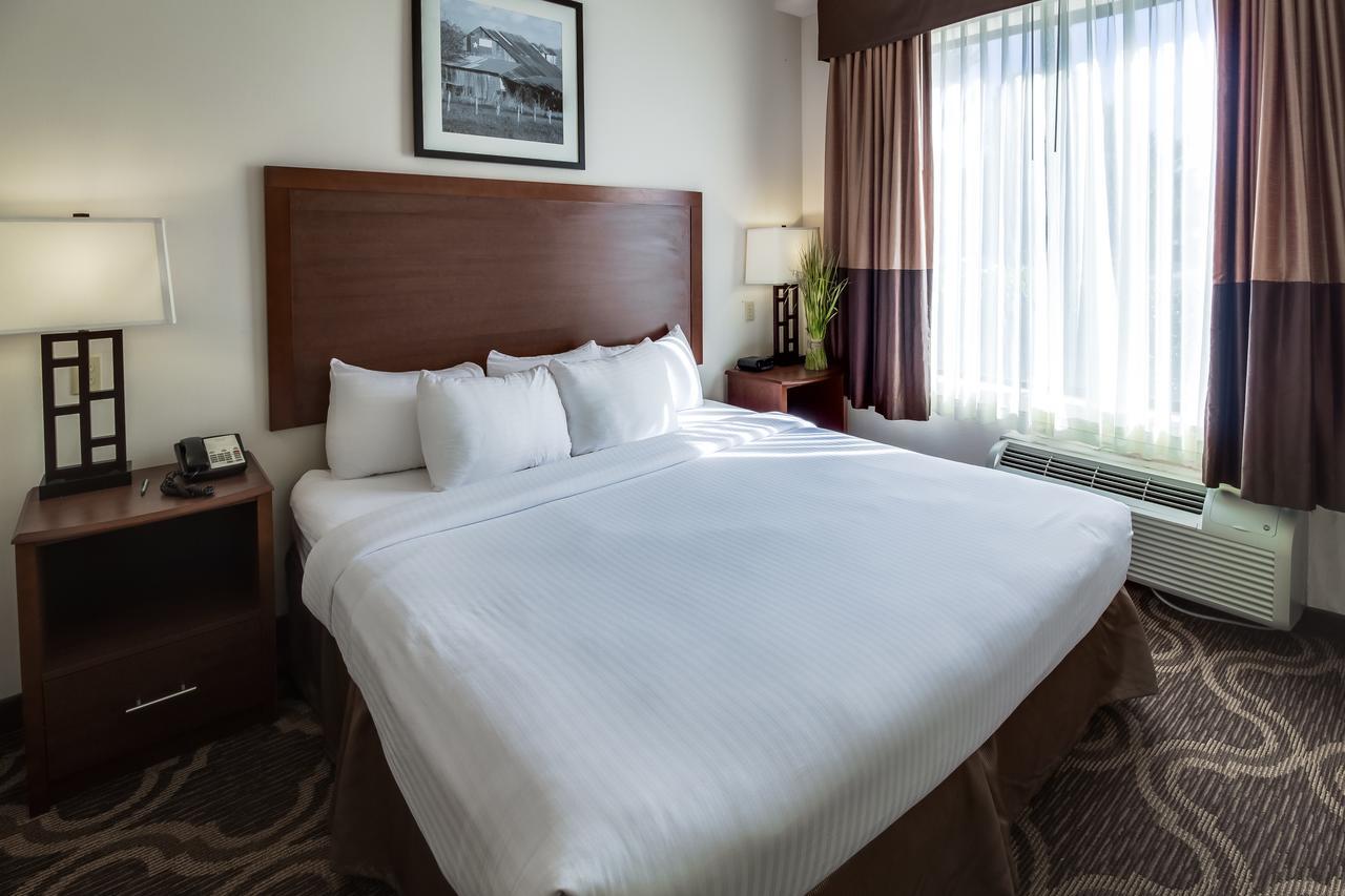 Ashmore Inn And Suites Lubbock Dış mekan fotoğraf