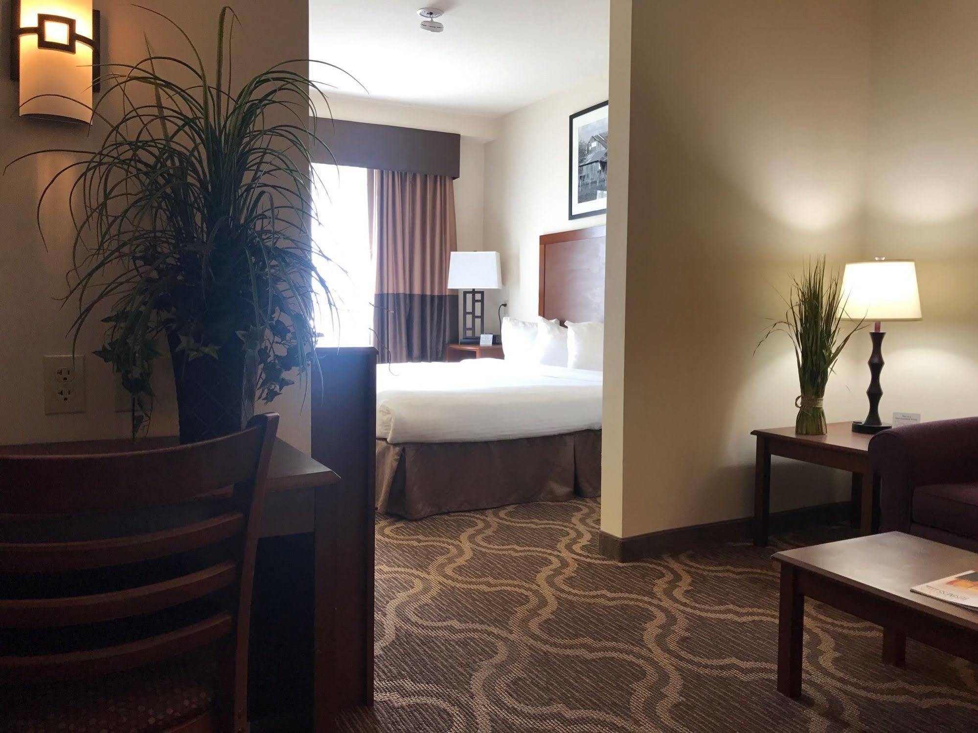 Ashmore Inn And Suites Lubbock Dış mekan fotoğraf