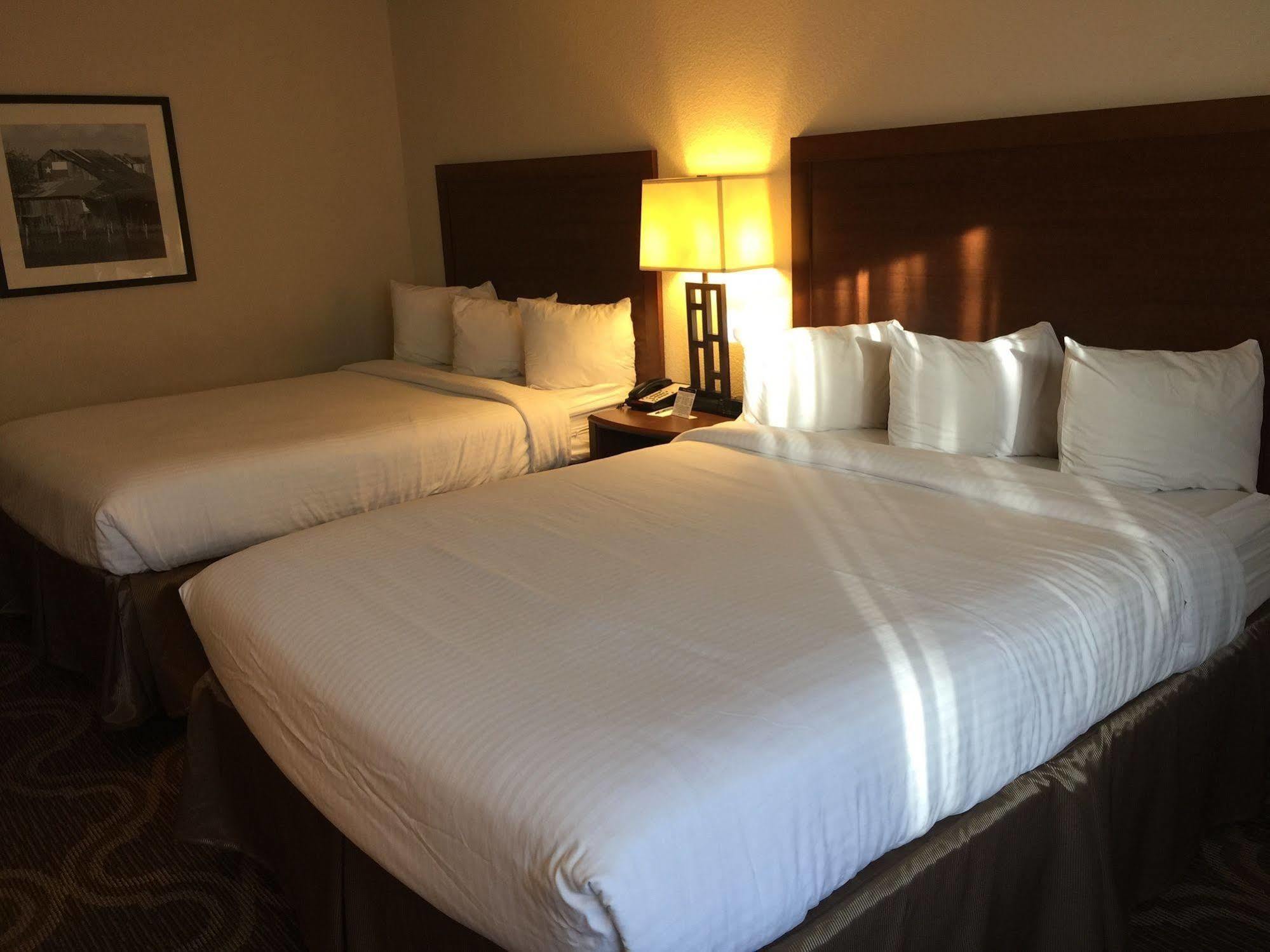 Ashmore Inn And Suites Lubbock Dış mekan fotoğraf